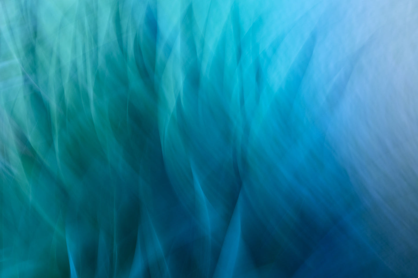 Imaginature In Motion™ Digital Artwork "The Blues"